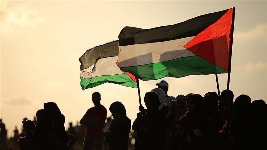 A lone protestor raising a fist in the air against a dramatic sky, symbolizing resistance and solidarity with the Palestinian people